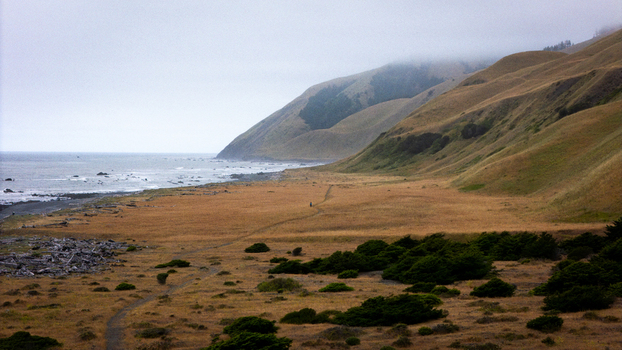Aerial view of the rugged Lost Coast featuring rolling grassy hills a misty shoreline and a narrow trail winding through the wilderness in Humboldt County California United States.