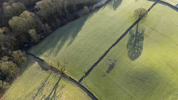 Aerial view of the stark shadows of bare trees stretch across the vibrant green fields near a dense woodland England United Kingdom. Aerial view of the stark shadows of bare trees stretch across the vibrant green fields near a dense woodland England United Kingdom.
