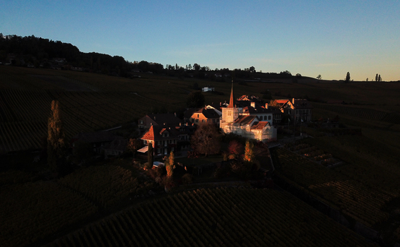 Aerial view of the historic Fechy Dessus hamlet and its church surrounded by terraced vineyards during sunset in Fechy Vaud Switzerland.