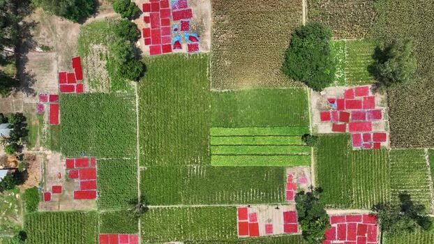 Aerial view of red chili peppers drying in fields Bangladesh. Aerial view of red chili peppers drying in fields Bangladesh.