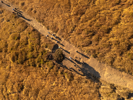 Aerial view of hikers walking along a dirt trail on the grassy slopes of Gunung Sumbing Wonosobo with long shadows cast by golden hour light in Kecamatan Kalikajar Jawa Tengah Indonesia.
