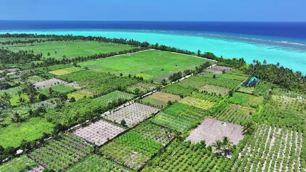 Aerial view of agricultural fields and tropical plantations Maldives. Aerial view of agricultural fields and tropical plantations Maldives.