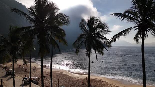 Aerial view of Red Beach with palm trees and ocean Brazil. Aerial view of Red Beach with palm trees and ocean Brazil.