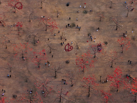 Aerial view of Shimul Bagan with red silk cotton trees people walking through the dry landscape and heart shaped patterns in Sunamganj District Sylhet Division Bangladesh. Aerial view of Shimul Bagan with red silk cotton trees people walking through the dry landscape and heart shaped patterns in Sunamganj District Sylhet Division Bangladesh.