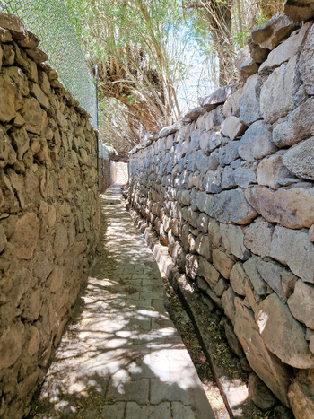 View of a narrow stone walled path lined with traditional stone masonry and overhanging trees in Leh Ladakh India.