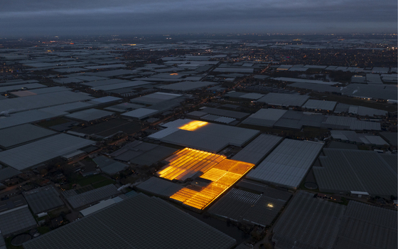 Aerial view of vast greenhouse complexes at night with glowing orange lights under a dark cloudy sky.