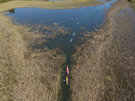 Aerial view of people in colorful kayaks paddling through a narrow channel surrounded by dense reeds on Nahuel Huapi Lake San Carlos de Bariloche Rio Negro Argentina. Aerial view of people in colorful kayaks paddling through a narrow channel surrounded by dense reeds on Nahuel Huapi Lake San Carlos de Bariloche Rio Negro Argentina.