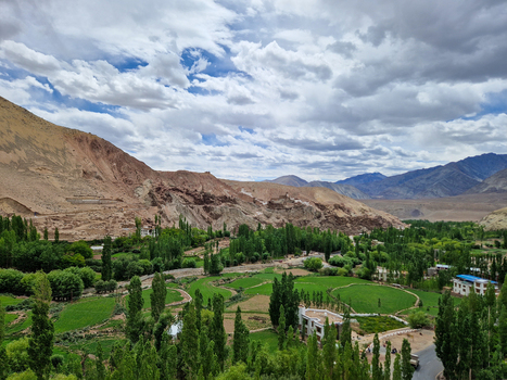View of the lush green fields and trees nestled among the arid mountains of the Himalayas in Leh Ladakh India.