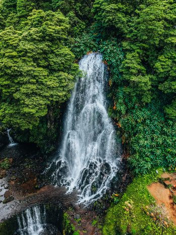 Aerial view of a cascading waterfall plunging amidst a vibrant tapestry of green foliage and textured rocks a natural symphony of sight and sound Achada Açores Portugal. Aerial view of a cascading waterfall plunging amidst a vibrant tapestry of green foliage and textured rocks a natural symphony of sight and sound Achada Açores Portugal.