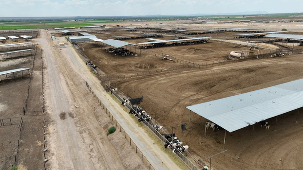 Aerial view of Las Cruces cattle feedlot with rows of covered pens and cattle in a rural landscape in Las Cruces New Mexico United States. Aerial view of Las Cruces cattle feedlot with rows of covered pens and cattle in a rural landscape in Las Cruces New Mexico United States.