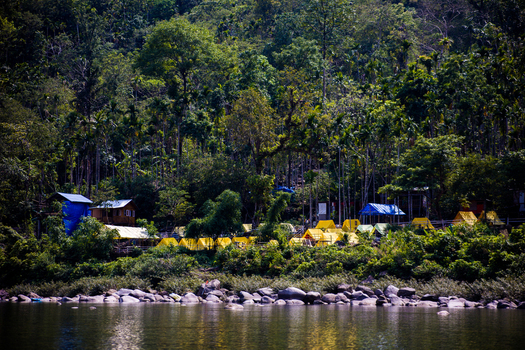 Meghalaya India 31 March 2023 View of a riverside campsite with yellow tents nestled among dense green forest and rocky shores. Meghalaya India 31 March 2023 View of a riverside campsite with yellow tents nestled among dense green forest and rocky shores.