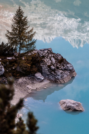 View of Lake Sorapis with its turquoise water rocky shoreline and a small pine tree reflecting the surrounding mountains in Cortina d Ampezzo Veneto Italy.
