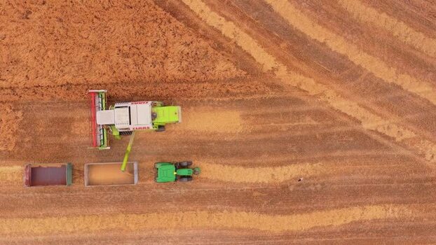 Aerial view of combine harvesting wheat in Hungary.