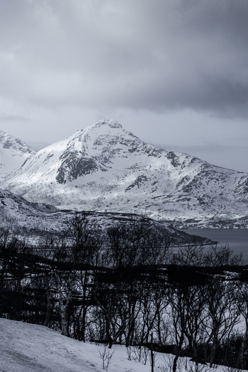 View of snow covered mountain peaks under a dramatic cloudy sky with bare winter trees in the foreground Kvaloya Troms Norway. View of snow covered mountain peaks under a dramatic cloudy sky with bare winter trees in the foreground Kvaloya Troms Norway.