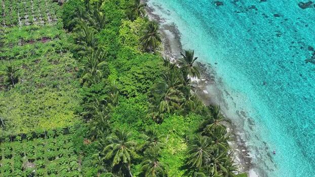 Aerial view of lush tropical vegetation and turquoise ocean in Maldives. Aerial view of lush tropical vegetation and turquoise ocean in Maldives.