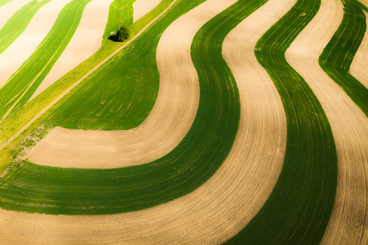 Aerial view of curved agricultural fields with alternating green crops and tilled soil patterns in the countryside of Brno South Moravian Region Czechia.