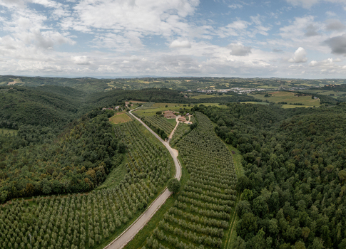 Aerial view of olive groves and a winding road leading to a farmhouse in the rolling hills of the countryside in Passignano Toscana Italy. Aerial view of olive groves and a winding road leading to a farmhouse in the rolling hills of the countryside in Passignano Toscana Italy.