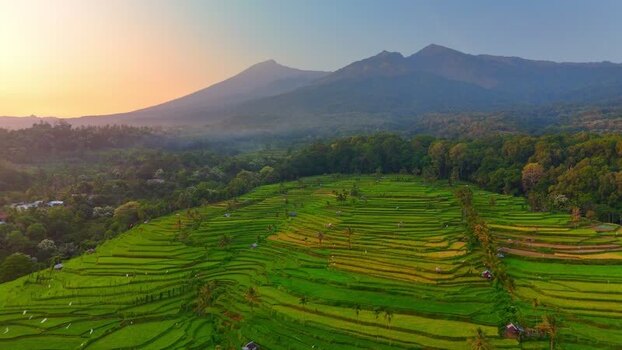 Aerial view of Senaru Rice Fields and Mount Rinjani Indonesia. Aerial view of Senaru Rice Fields and Mount Rinjani Indonesia.