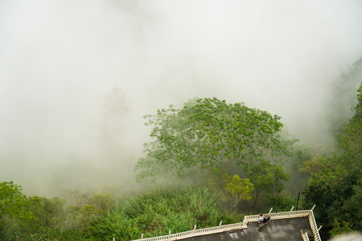 View of lush green forest shrouded in thick white mist from the Ambuluwawa Tower with people on a balcony in Gampola Central Province Sri Lanka. View of lush green forest shrouded in thick white mist from the Ambuluwawa Tower with people on a balcony in Gampola Central Province Sri Lanka.