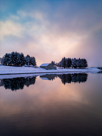 Aerial view of winter landscape on Kvaloya island with snow covered pine trees a small cabin and calm water reflecting the soft pastel sky in Troms Norway.