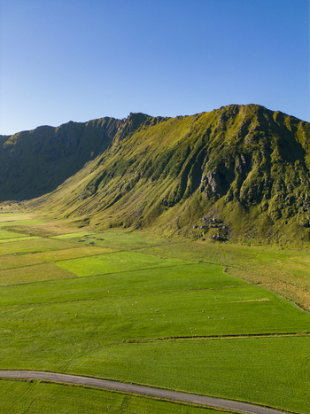 Aerial view of a steep green mountain ridge overlooking lush agricultural fields and a winding road under a clear blue sky in Unstad Nordland Norway.