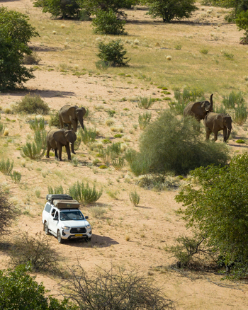 Aerial view of elephants amidst the arid landscape a white vehicle traverses the sandy terrain a stark contrast against the sparse greenery Uis Erongo Region Namibia.
