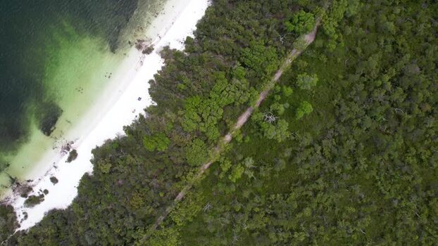 Aerial view of Lake Birrabeen and forest Australia. Aerial view of Lake Birrabeen and forest Australia.