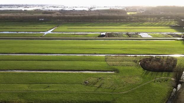 Aerial view of green fields Netherlands.