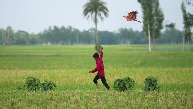 View of a boy flying a kite in a green field Bangladesh. View of a boy flying a kite in a green field Bangladesh.