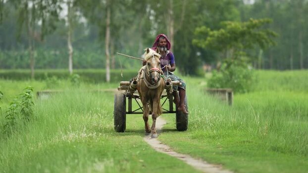 View of a man riding a horse drawn cart in rural fields Bangladesh. View of a man riding a horse drawn cart in rural fields Bangladesh.