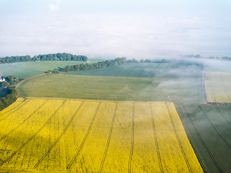 Aerial view of vibrant yellow rapeseed and green agricultural fields partially covered by morning mist and fog Nuffield Oxfordshire United Kingdom. Aerial view of vibrant yellow rapeseed and green agricultural fields partially covered by morning mist and fog Nuffield Oxfordshire United Kingdom.