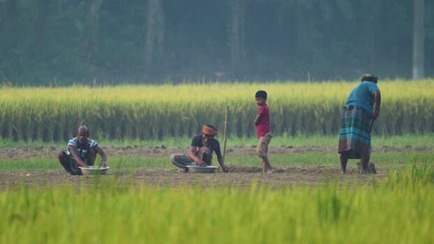 View of farmers working in a rural field in Bangladesh.