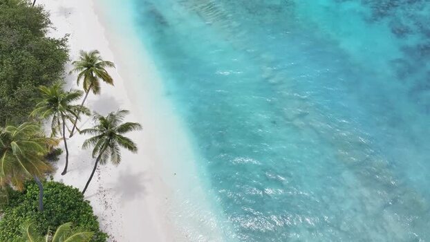 Aerial view of a tropical beach with palm trees and turquoise water Maldives. Aerial view of a tropical beach with palm trees and turquoise water Maldives.