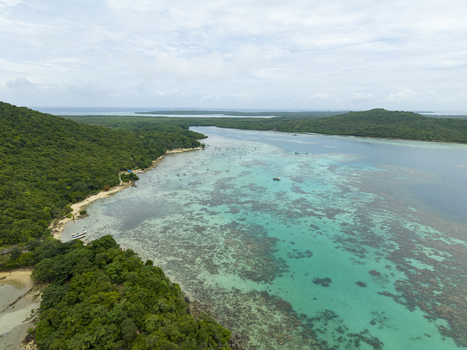 Aerial view of the turquoise waters meeting the lush green shoreline at Annora beach a tropical paradise Karimunjawa Jawa Tengah Indonesia.
