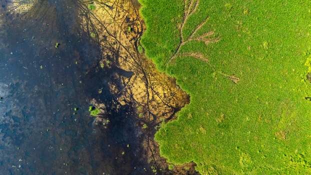 Aerial view of Lake Rawa Pening with vibrant green water hyacinth mats contrasting against dark open water Waduk Rawapening Central Java Indonesia. Aerial view of Lake Rawa Pening with vibrant green water hyacinth mats contrasting against dark open water Waduk Rawapening Central Java Indonesia.