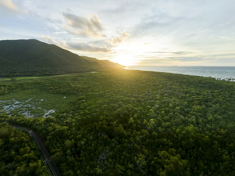 Aerial view of a verdant mangrove forest meeting the turquoise sea under a sky ablaze with the setting sun Karimunjawa Central Java Indonesia.