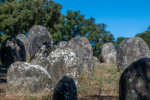 View of Almendres Cromlech with ancient standing stones and lichen covered surfaces under a clear blue sky in Nossa Senhora de Guadalupe Distrito de Evora Portugal. View of Almendres Cromlech with ancient standing stones and lichen covered surfaces under a clear blue sky in Nossa Senhora de Guadalupe Distrito de Evora Portugal.