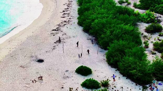 Aerial view of beach with lush trees Maldives.