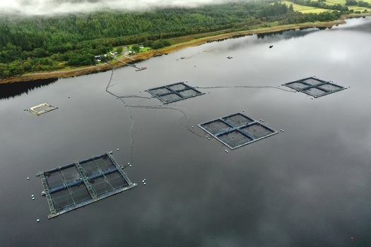 Aerial view of fish farm cages floating in the calm waters of a loch surrounded by lush green hills and misty mountains in Glencoe Scotland United Kingdom.
