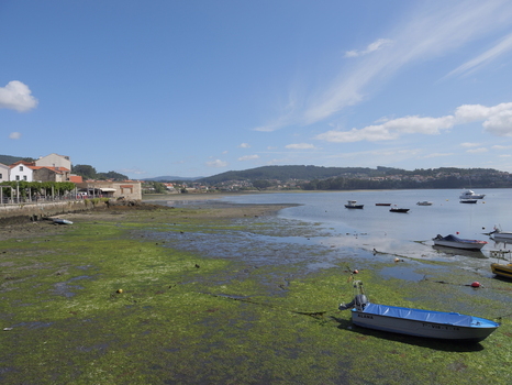 View of the historic coastal village of Combarro with small fishing boats resting on the green algae covered mudflats at low tide in Combarro Pontevedra Spain.