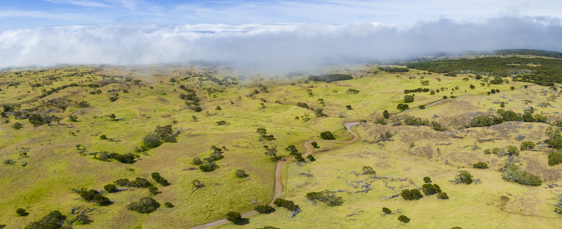 Aerial view of the winding road on the slopes of Mauna Kea with rolling green hills and thick clouds Hawaii County Hawaii United States. Aerial view of the winding road on the slopes of Mauna Kea with rolling green hills and thick clouds Hawaii County Hawaii United States.