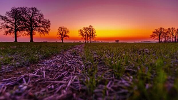 View of vibrant sunset over rural fields and trees in Latvia.