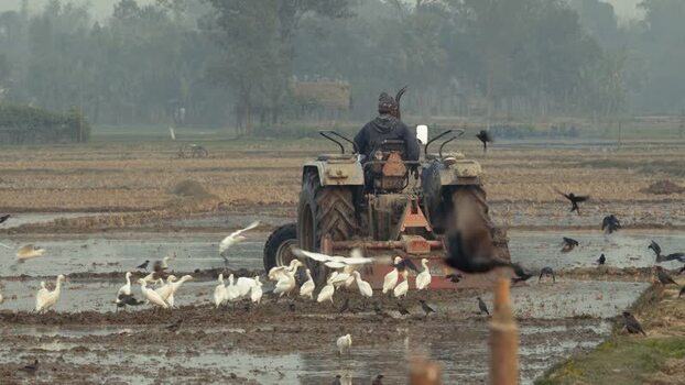 View of a farmer driving a tractor in a muddy field Bangladesh. View of a farmer driving a tractor in a muddy field Bangladesh.