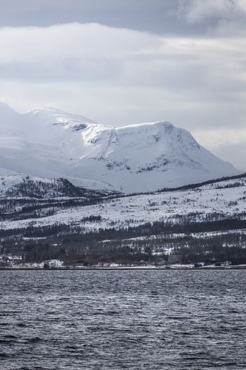 View of snow covered mountains rising above a coastal village and the dark waters of a fjord under a cloudy sky Tromso Troms Norway.