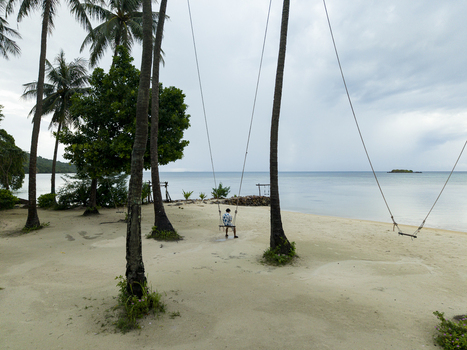 Aerial view of a lone figure on a swing amidst swaying palm trees where the tranquil beach meets the endless sea Karimunjawa Jawa Tengah Indonesia.