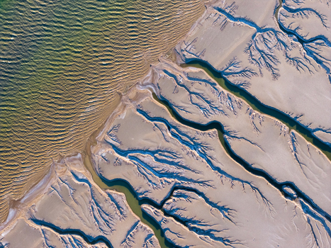 Aerial view of intricate dendritic water channels and sand flats at Reserva de la Biosfera Alto Golfo de California y Delta del Rio Colorado in Tijuana Baja California Mexico. Aerial view of intricate dendritic water channels and sand flats at Reserva de la Biosfera Alto Golfo de California y Delta del Rio Colorado in Tijuana Baja California Mexico.