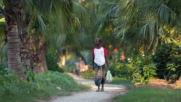 View of a man walking through a palm grove in Bogura Bangladesh.