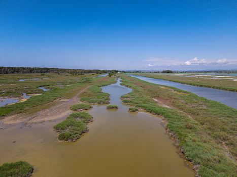 Aerial view of Karavasta Lagoon featuring a network of waterways and lush green marshlands under a clear blue sky Divjake Fier County Albania.