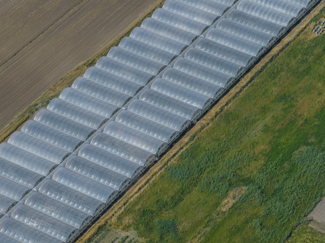 Aerial view of long rows of arched greenhouses and agricultural fields under bright daylight in Paestum Campania Italy.