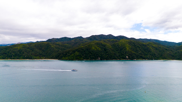 Aerial view of a water taxi slicing through the turquoise waters near the lush green hills of Abel Tasman National Park Tasman Region New Zealand. Aerial view of a water taxi slicing through the turquoise waters near the lush green hills of Abel Tasman National Park Tasman Region New Zealand.